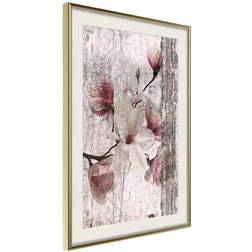 Arkiio Affisch Memorial Magnolia [Poster] 40x60 Poster